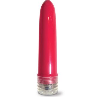 Pleasure Package I Didn't Know Your Size 4" Multi Speed Vibe