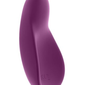 BJ Buddy